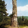 Tour de l'ancienne abbaye ND des Neiges (envoyée en 1971)