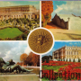 Orangerie, Les cents marches, parterre d'eau, Parterre du midi (envoyée en 1975)