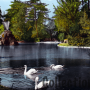 Le parc et le lac (envoyée en 1959)