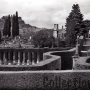 Le cimetière (envoyée en 1955)