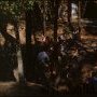 Chants dans la clairière