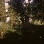 Aix en provence 1956