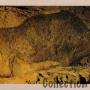 Grotte de Font de Gaume