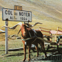 Col du Noyer (envoyée en 1973)