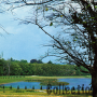 Le parc