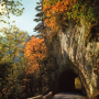 Grande Chartreuse : route du desert en automne