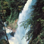 Cascade du gros hêtre (envoyée en 1977)