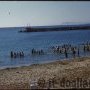 Plage de la tuilerie